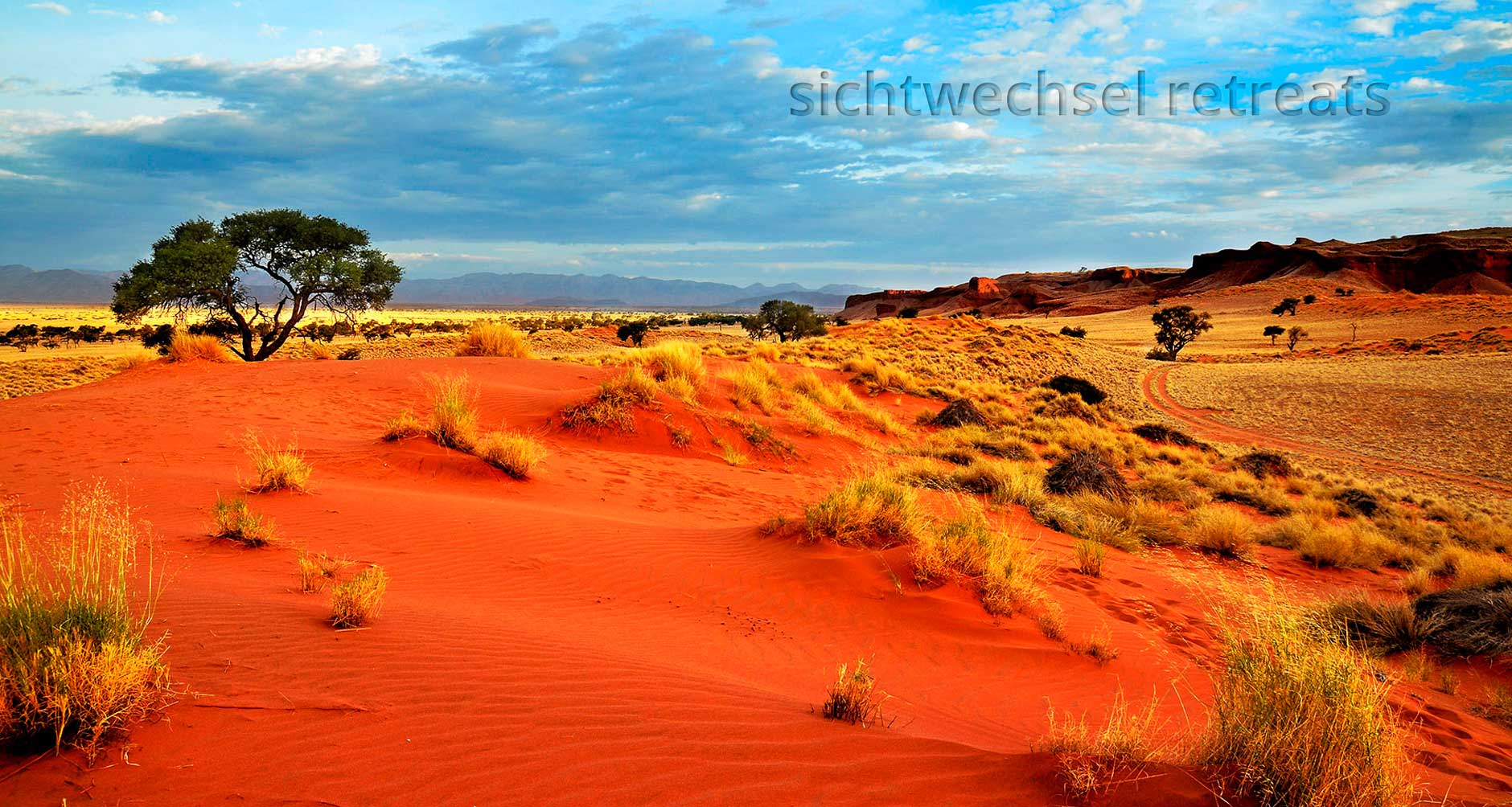Wüsten Landschaft Namib Wüste mit versteinerte Düne - Aflynx Fotografie