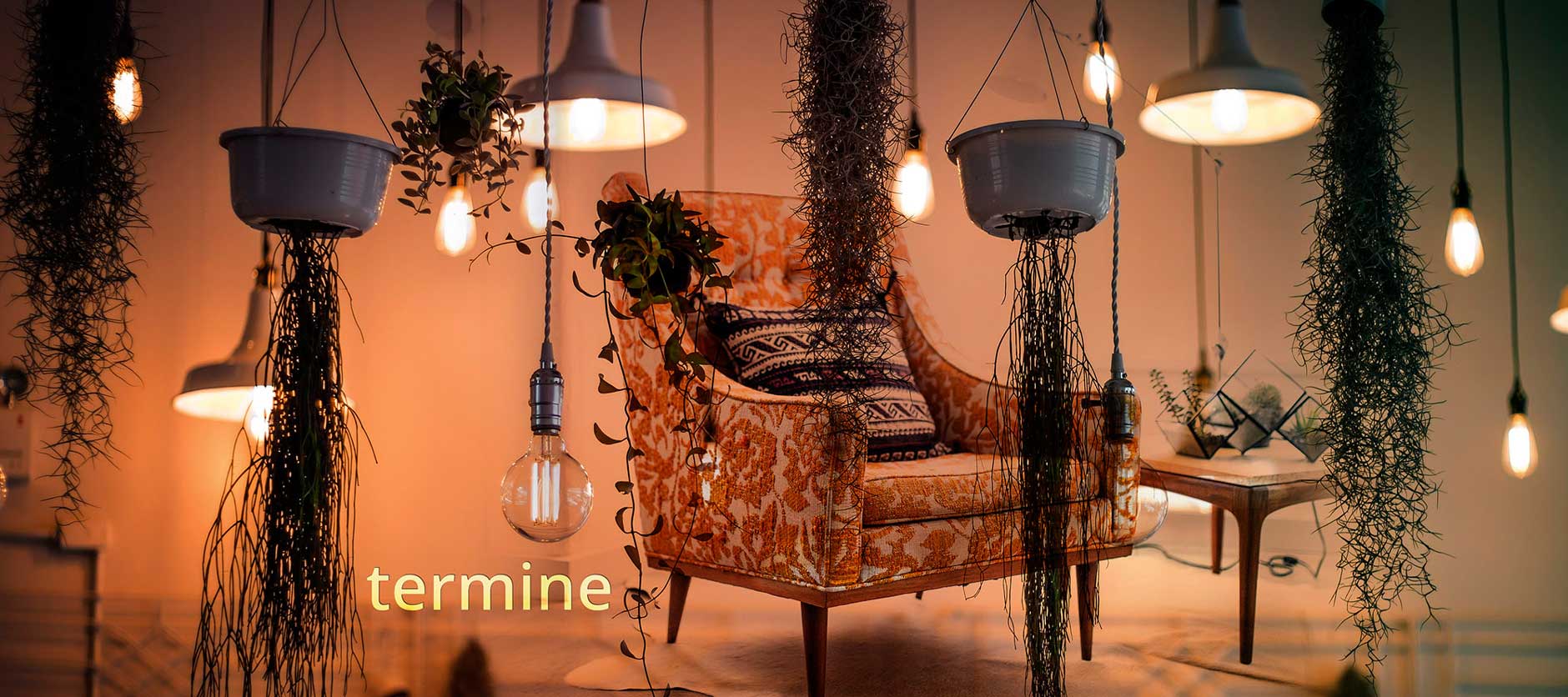 Wohnraum mit gemütlichem Sessel und hängenden Topfpflanzen und Glühbirnen